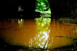 Back water reflection